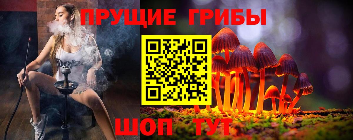 Псилоцибиновые грибы MAGIC MUSHROOMS Дивногорск